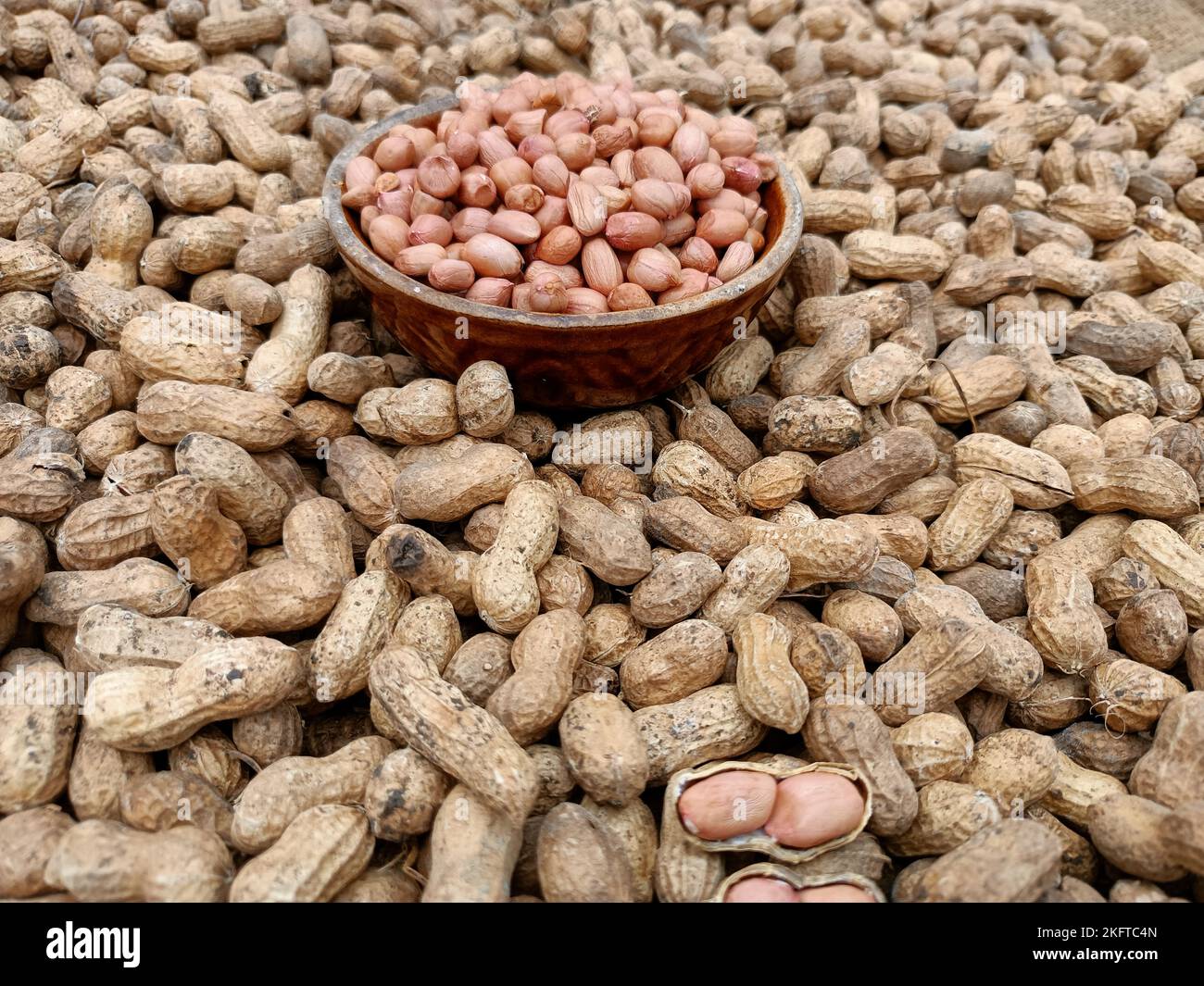 Peanut, groundnut, monkey nut, nut, golden brown colour seeds pods