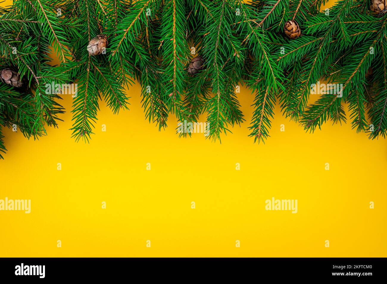 Christmas and New Year yellow background with fir border Stock Photo