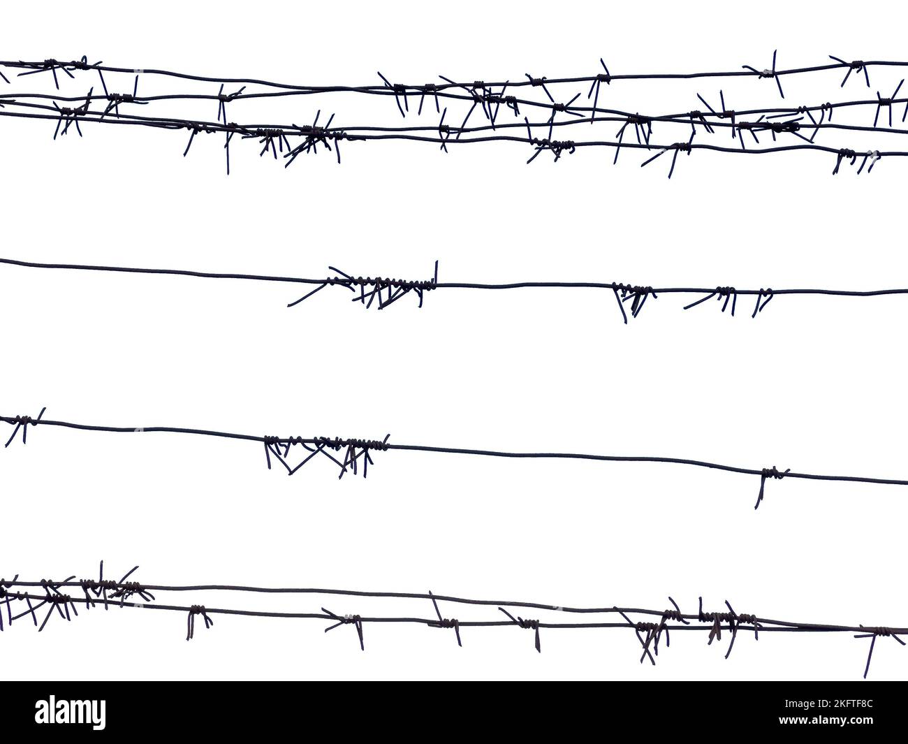 Barbed wire on fence isolated on white background Stock Photo - Alamy