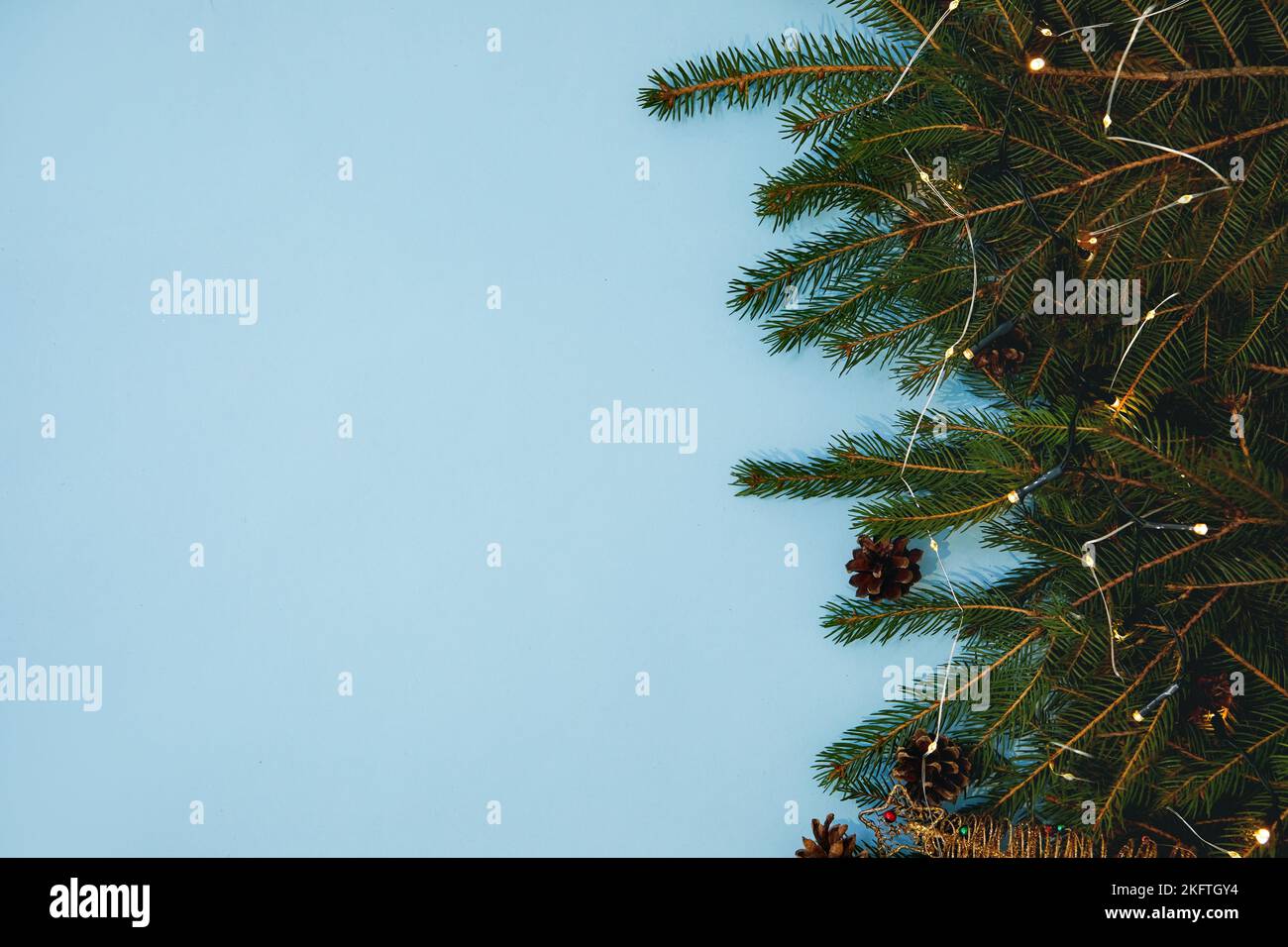 Layout made of Christmas tree branches on blue background. Nature New Year concept. Stock Photo