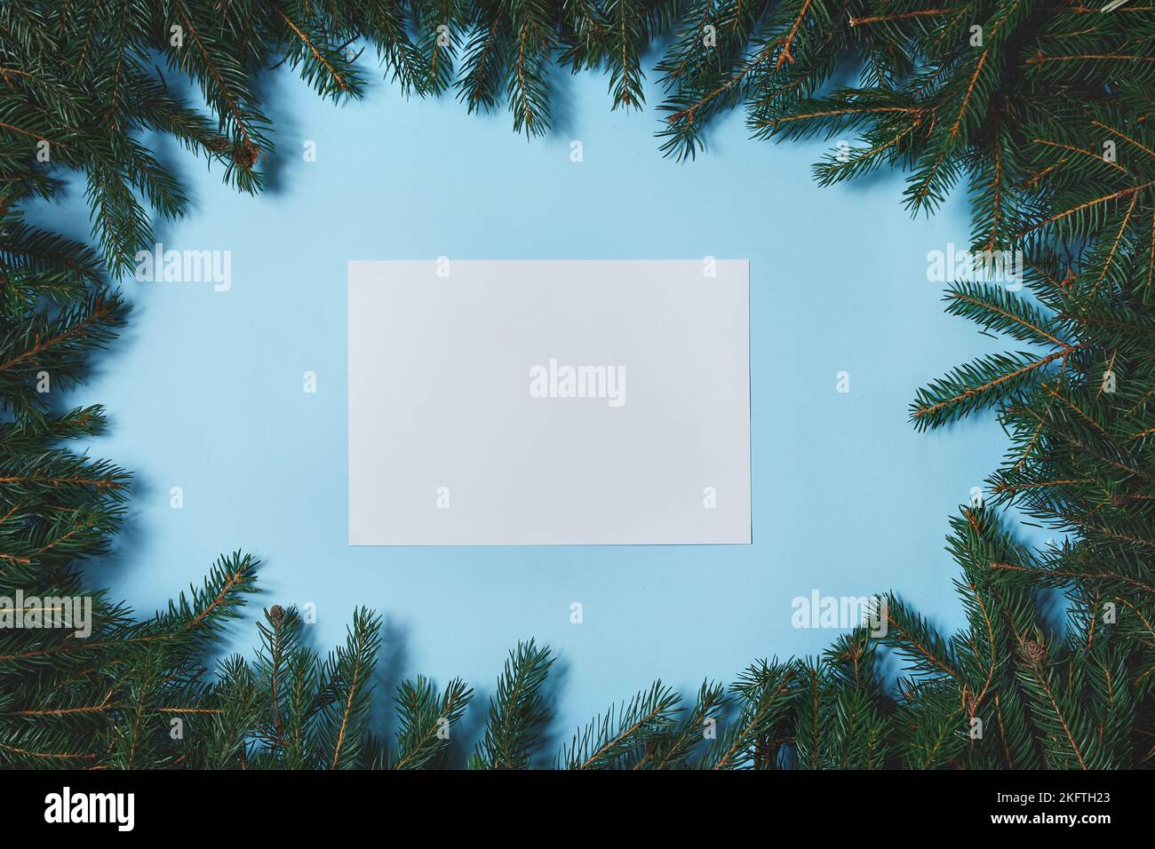 Layout made of Christmas tree branches with paper card note on blue background. Flat lay. Nature New Year concept. Stock Photo