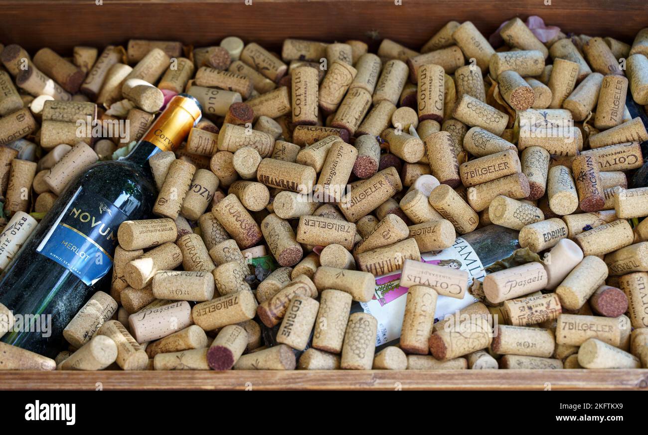 Istanbul, Turkey November 14, 2022 Bottle of red wine in a variety