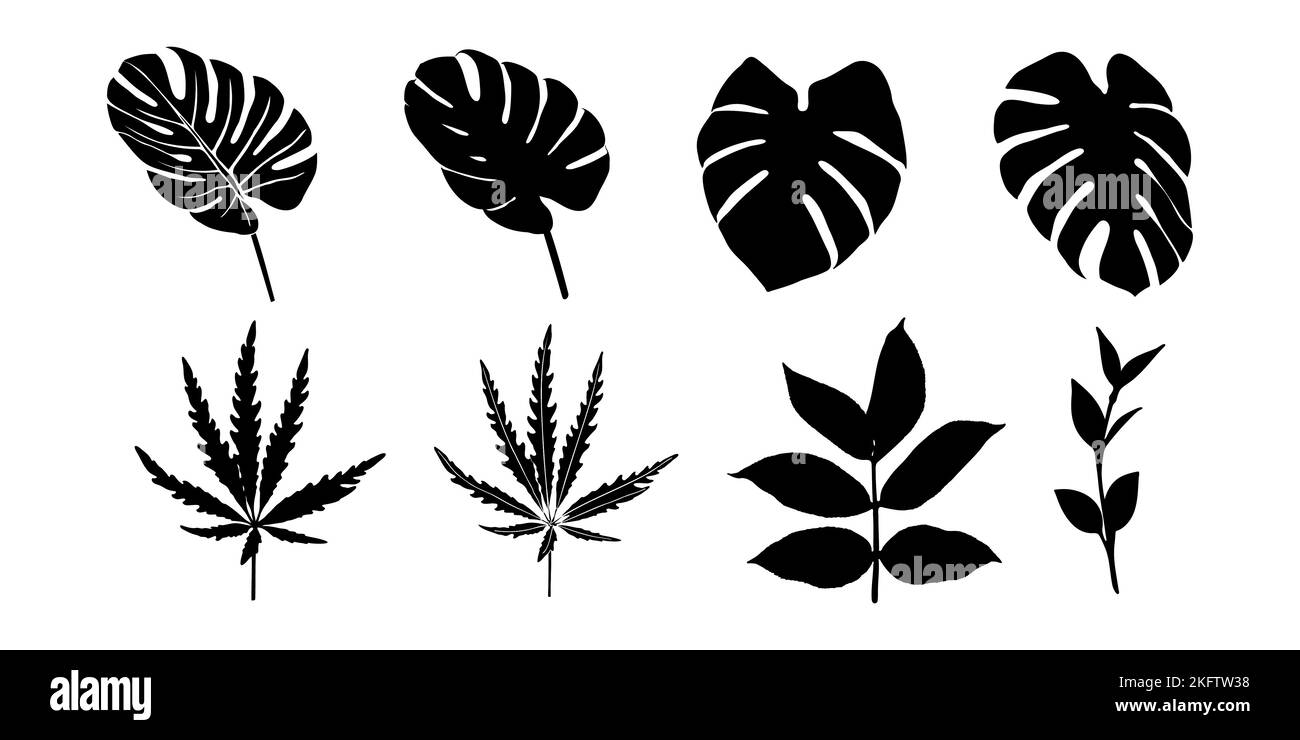Set of black silhouettes of various leaves on a white background. Forest and tropical leaves. Black and white. Vector illustration. Stock Vector
