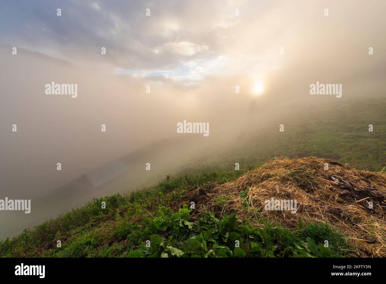 Clouds of fog drift under a clearing sky after a summer lightning storm over a manure pile and meadows at the Ackernalm, Tyrol, Austria Stock Photo