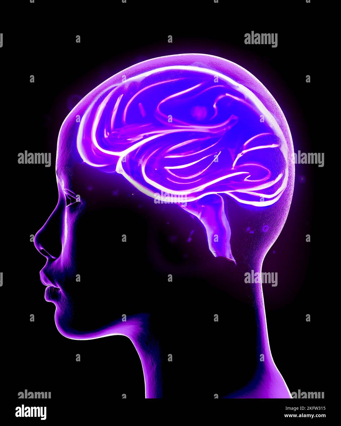 Neurology, philosophy: connections, the development of thought and reflection, the infinite possibilities of the brain and mind. Human anatomy face Stock Photo