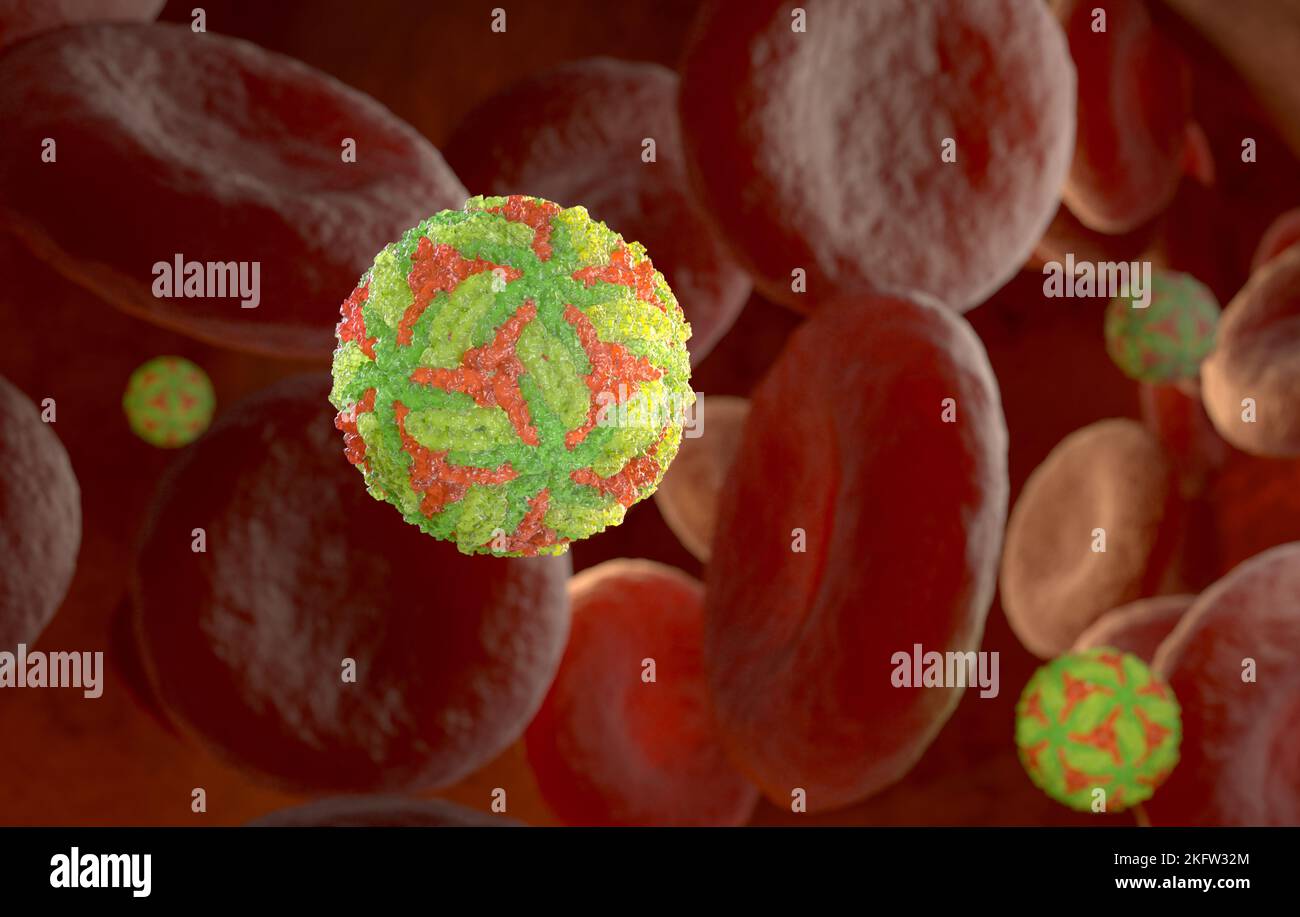 Powassan virus particles.This virus is a human pathogen that is transmitted by ticks. 3D illustration Stock Photo