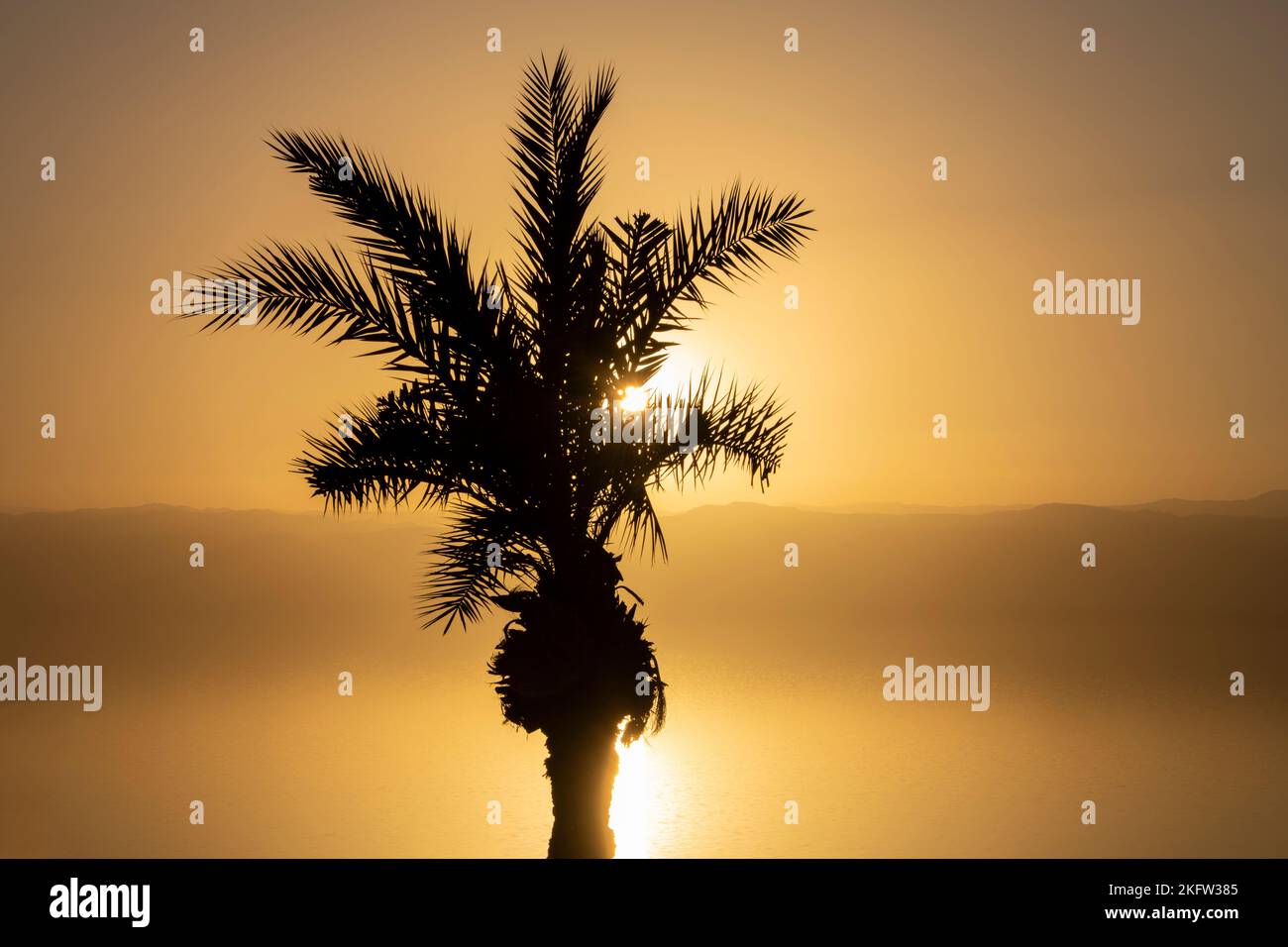 Romantic and idyllic sunset full of gold light and color behind the palm tree Stock Photo