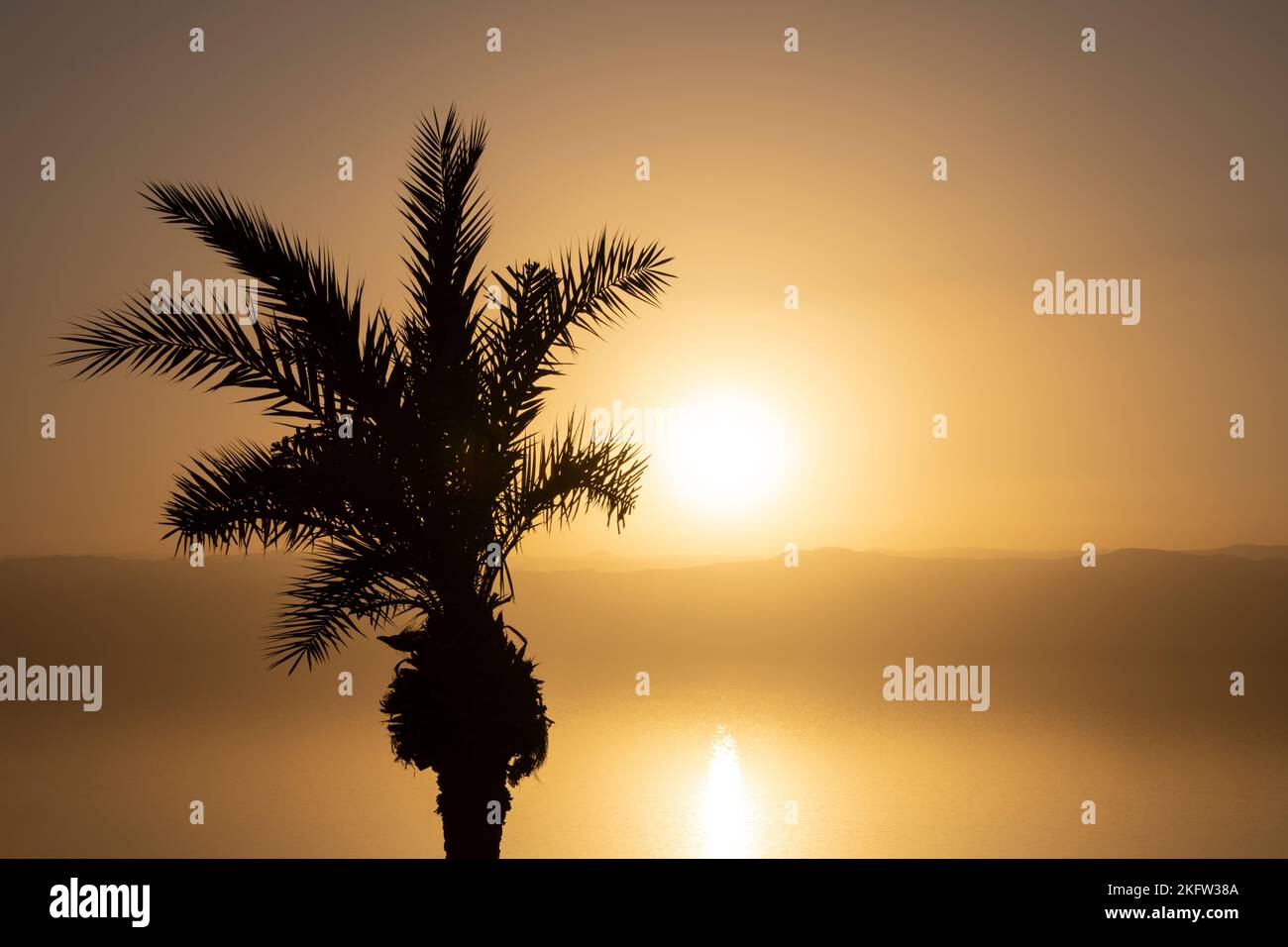 Romantic and idyllic sunset full of gold light and color behind the palm tree Stock Photo