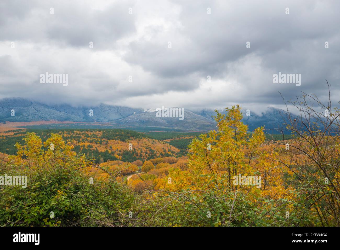 Autumn landscape. Riaza, Segovia province, Castilla Leon, Spain. Stock Photo