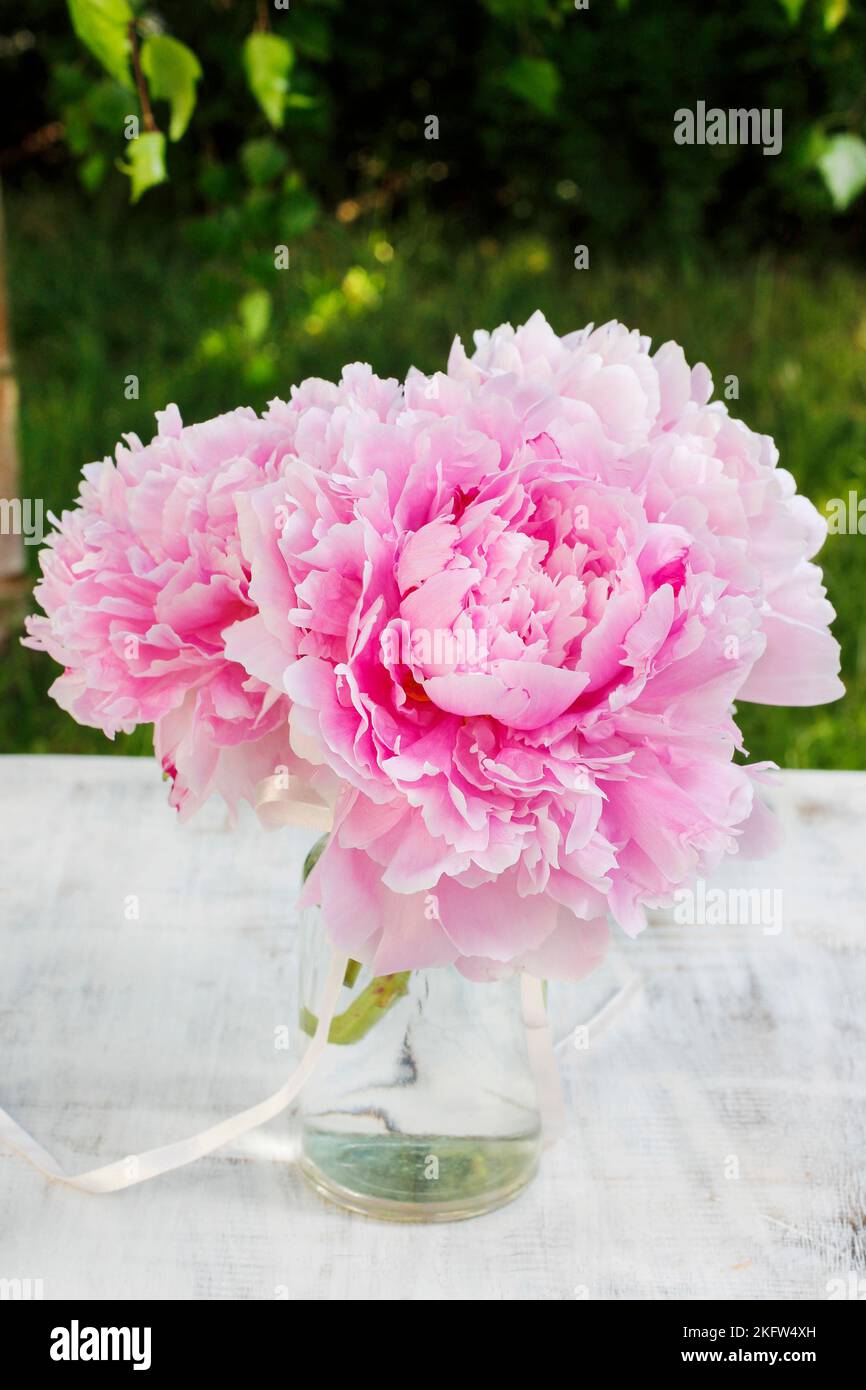 Bouquet of pink peonies in the garden. Party decor Stock Photo - Alamy