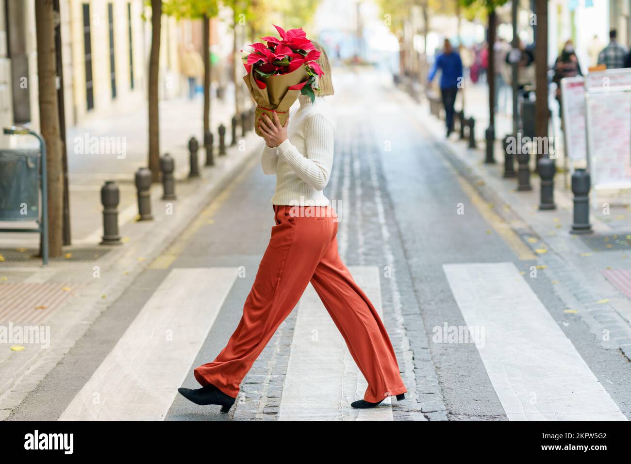 Woman carrying houseplant on crosswalk on city street Stock Photo