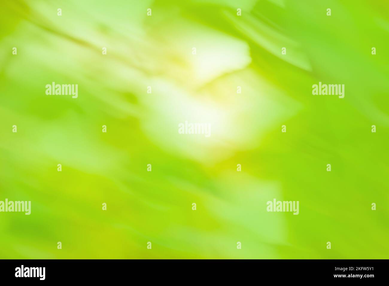 Blurry background green bushes hi-res stock photography and images - Alamy