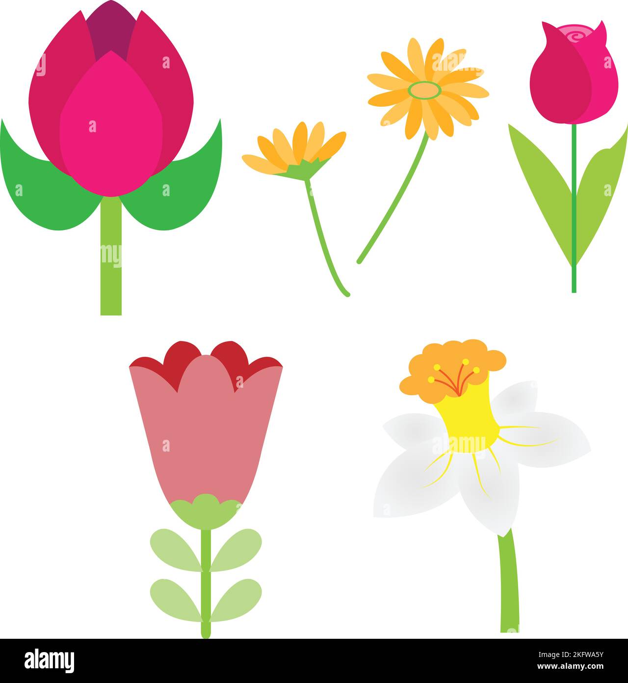 Set of Flowers Vector illustration. Flower Image or clip art Stock