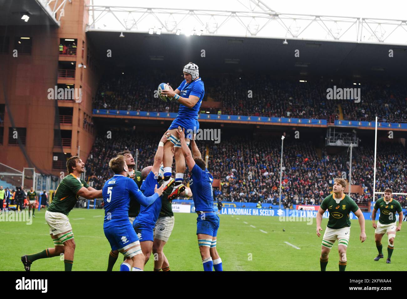 during the ANS - Autumn Nations Series Italy, rugby match between Italy and  South Africa on 19 November 2022 at Luigi Ferrarsi Stadium in Genova,  Italy. Photo Nderim Kaceli - SuperStock