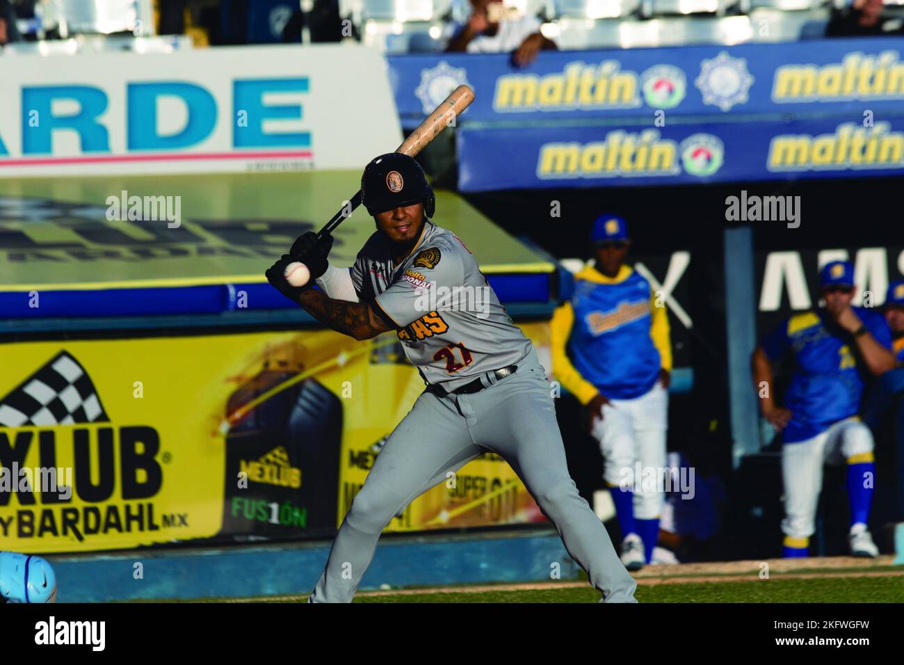 Valencia, Carabobo, Venezuela. 1st Nov, 2022. ovember 01, 2022. The current  champions, Navegantes del Magallanes, received