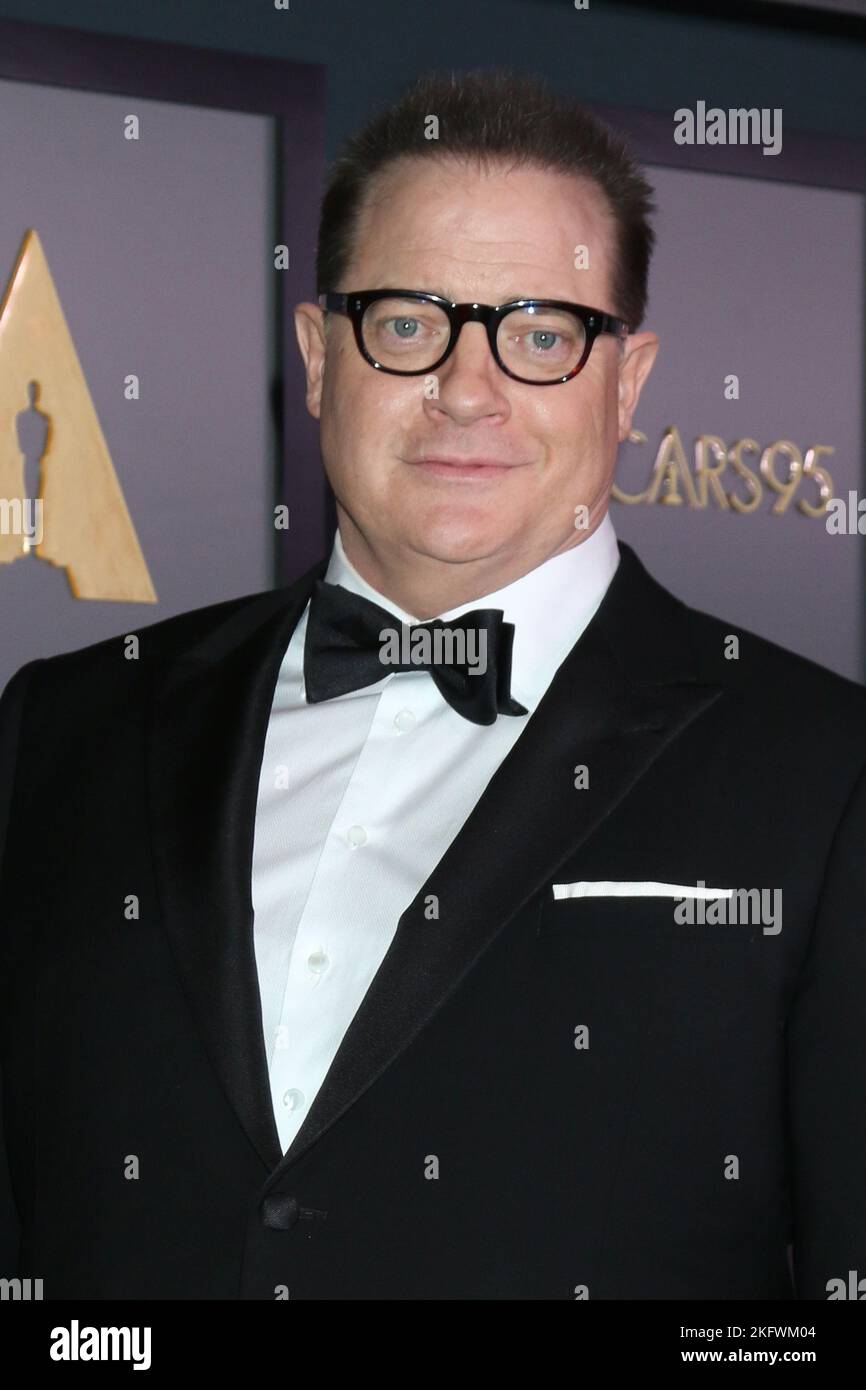 LOS ANGELES - NOV 19: Brendan Fraser at the 13th Governors Awards at ...