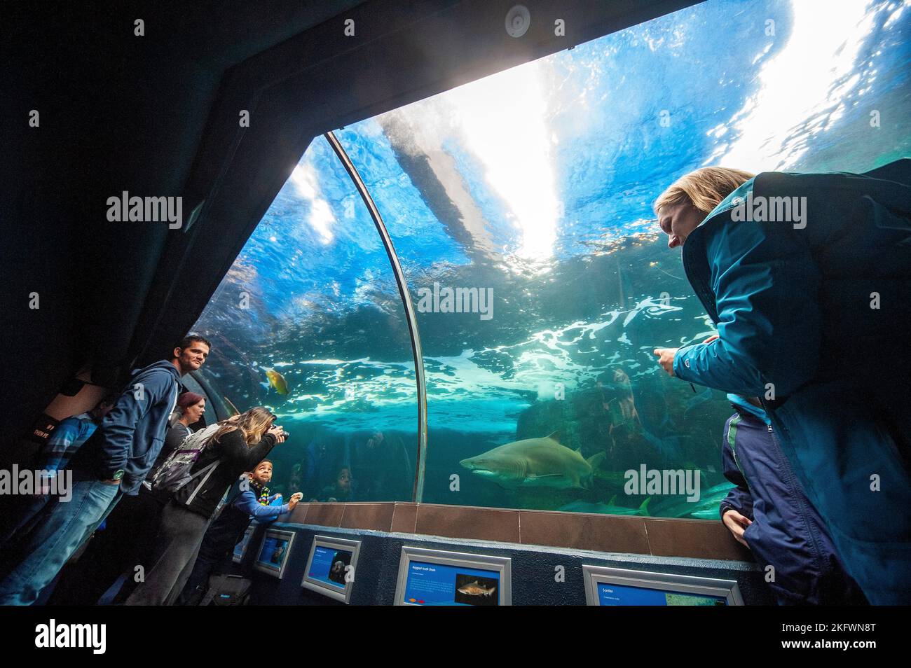 Tourists visiting the iconic Two Oceans Aquarium, a popular destination in Capetown, South Africa Stock Photo