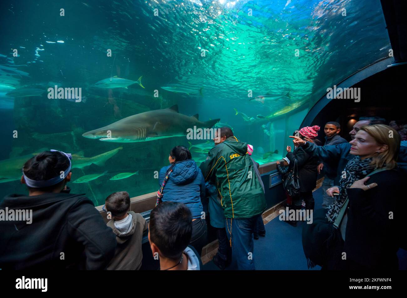 tourists-visiting-the-iconic-two-oceans-aquarium-a-popular-destination