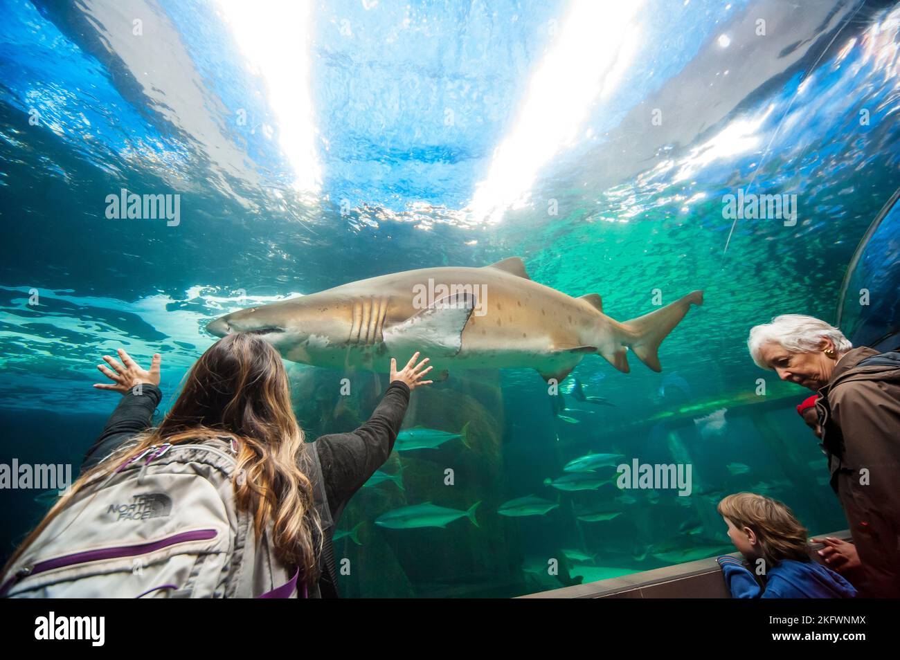 Tourists visiting the iconic Two Oceans Aquarium, a popular destination in Capetown, South Africa Stock Photo