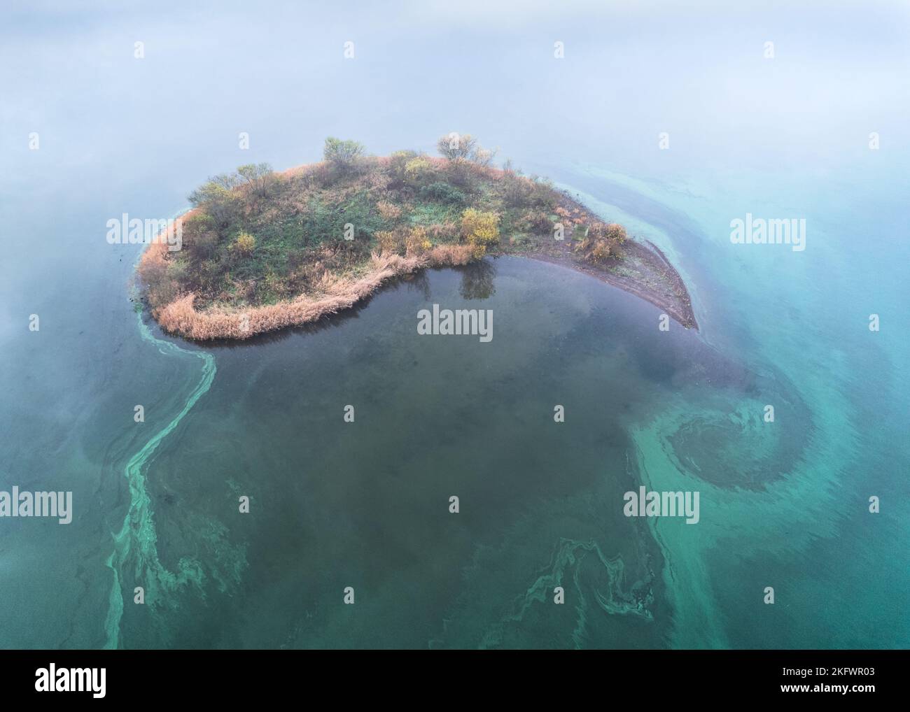 An aerial view of a toxic blue-green algal bloom (cyanobacteria) swirling round an island, Loch Leven, Scotland Stock Photo