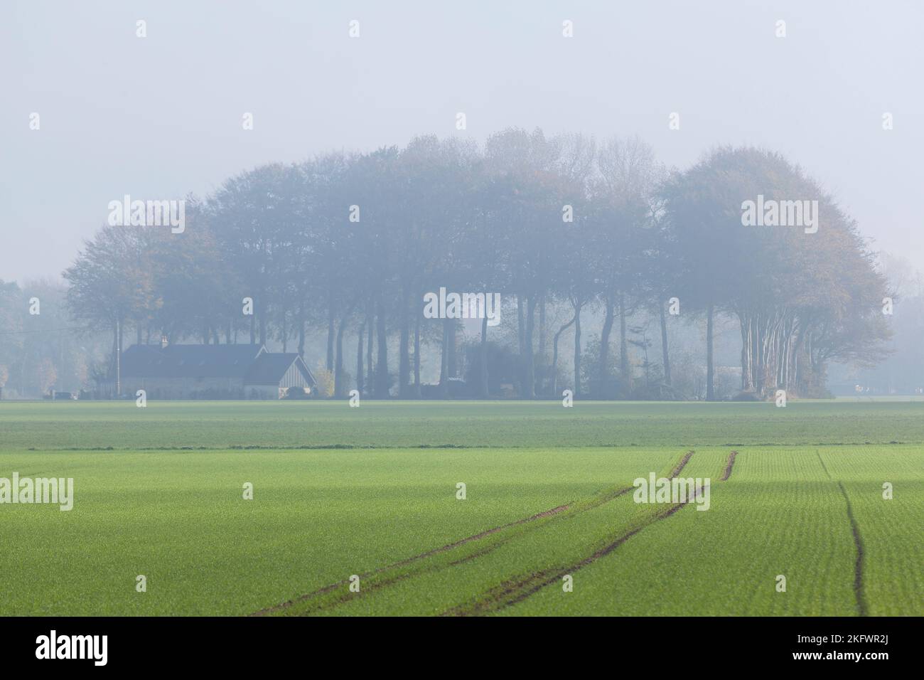 Forest and farmhouse, Normandy, France Stock Photo - Alamy