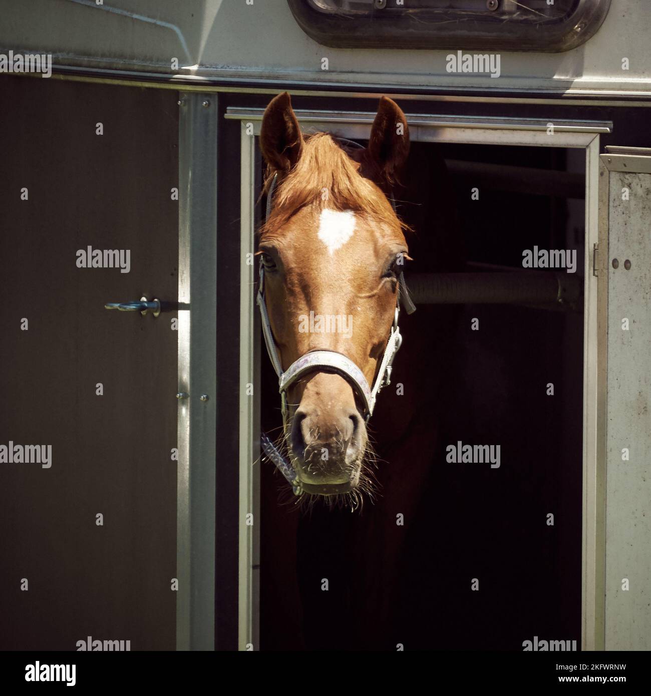 Peaking fence hi-res stock photography and images - Alamy