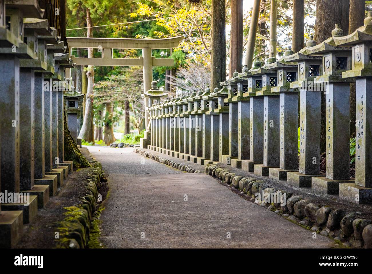 Japanese stone toro lanterns at shrine entrance in the forest Stock