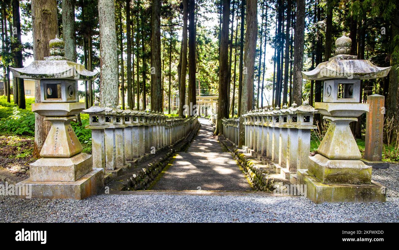 Japanese stone toro lanterns at shrine entrance in the forest Stock Photo