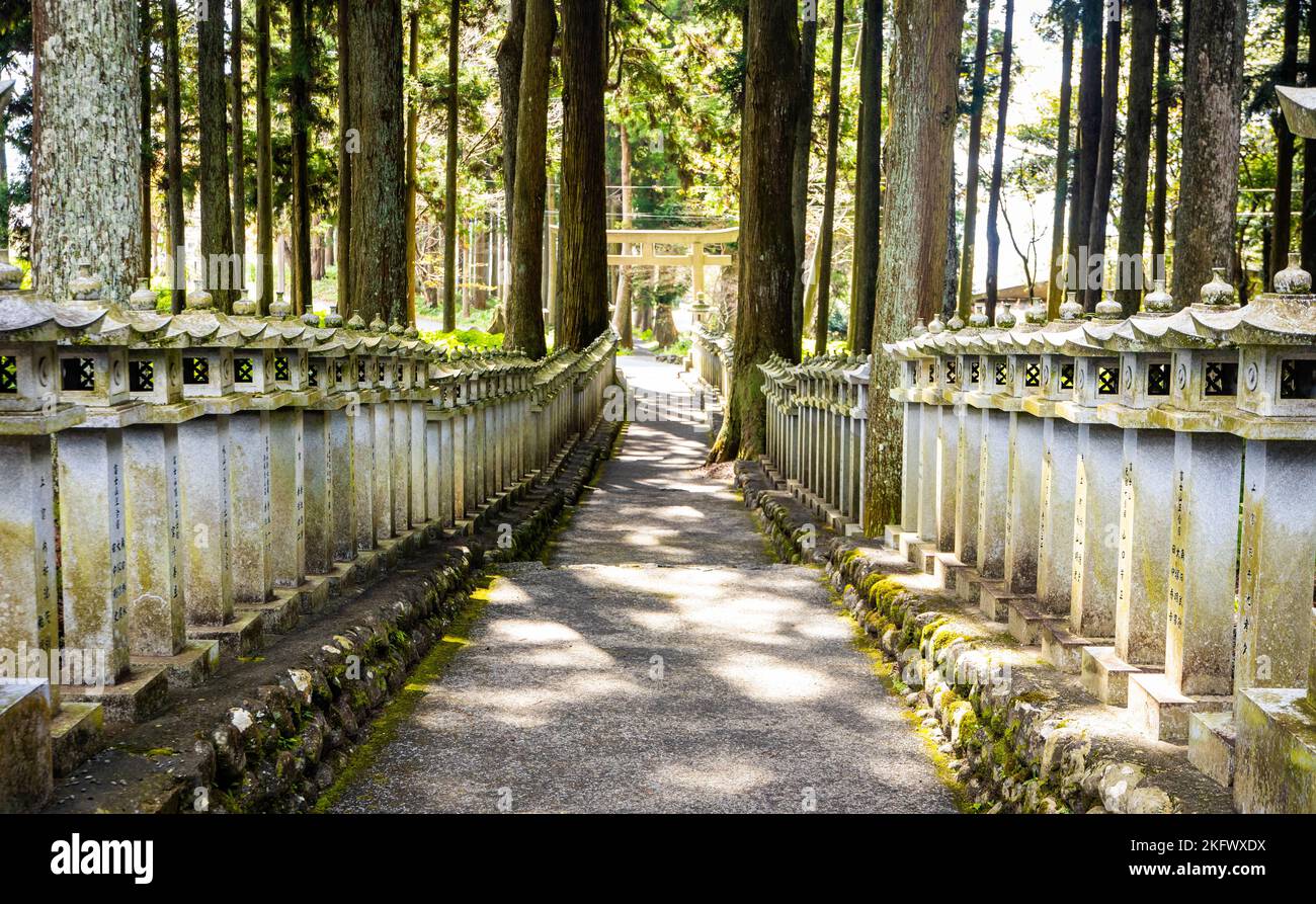 Japanese stone toro lanterns at shrine entrance in the forest Stock