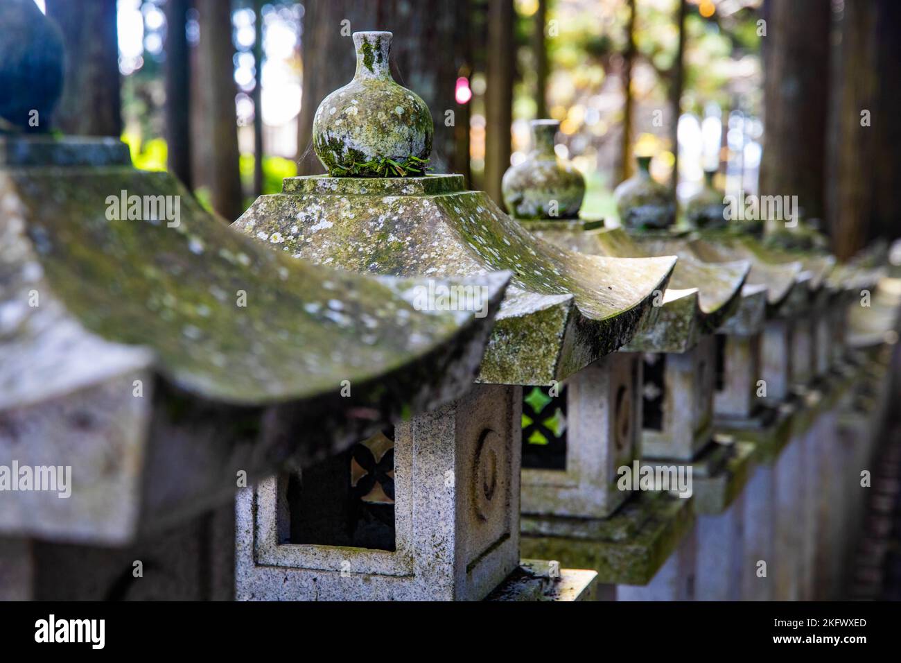 Japanese stone toro lanterns at shrine entrance in the forest Stock