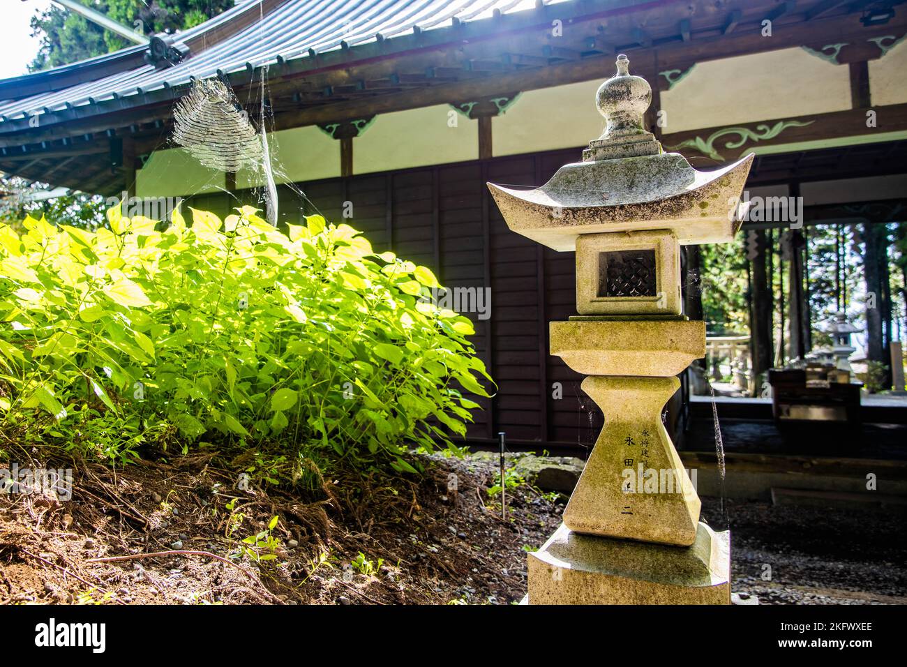 Japanese stone toro lanterns at shrine entrance in the forest Stock