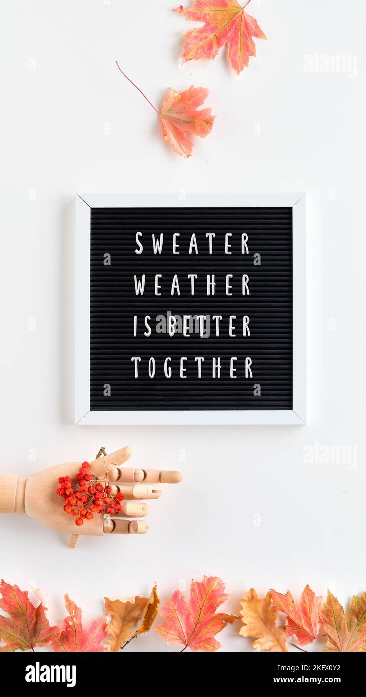 Autumn leaves, spices and rowan berry, flat lay composition. Fall seasonal background. Text Sweater weather is better together on black text board Stock Photo