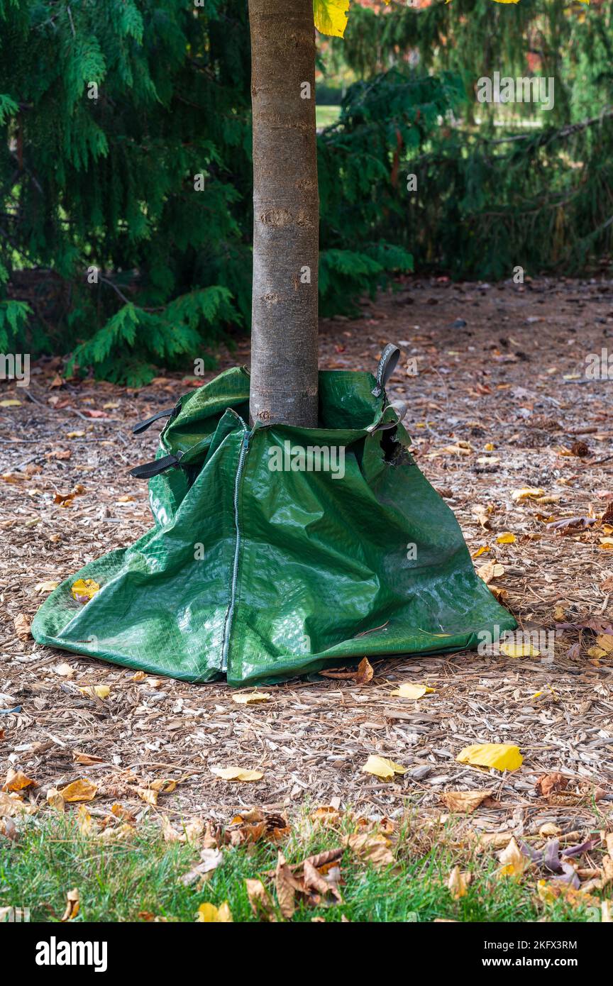 Watering irrigating bag tree green water bag for newly planted tree
