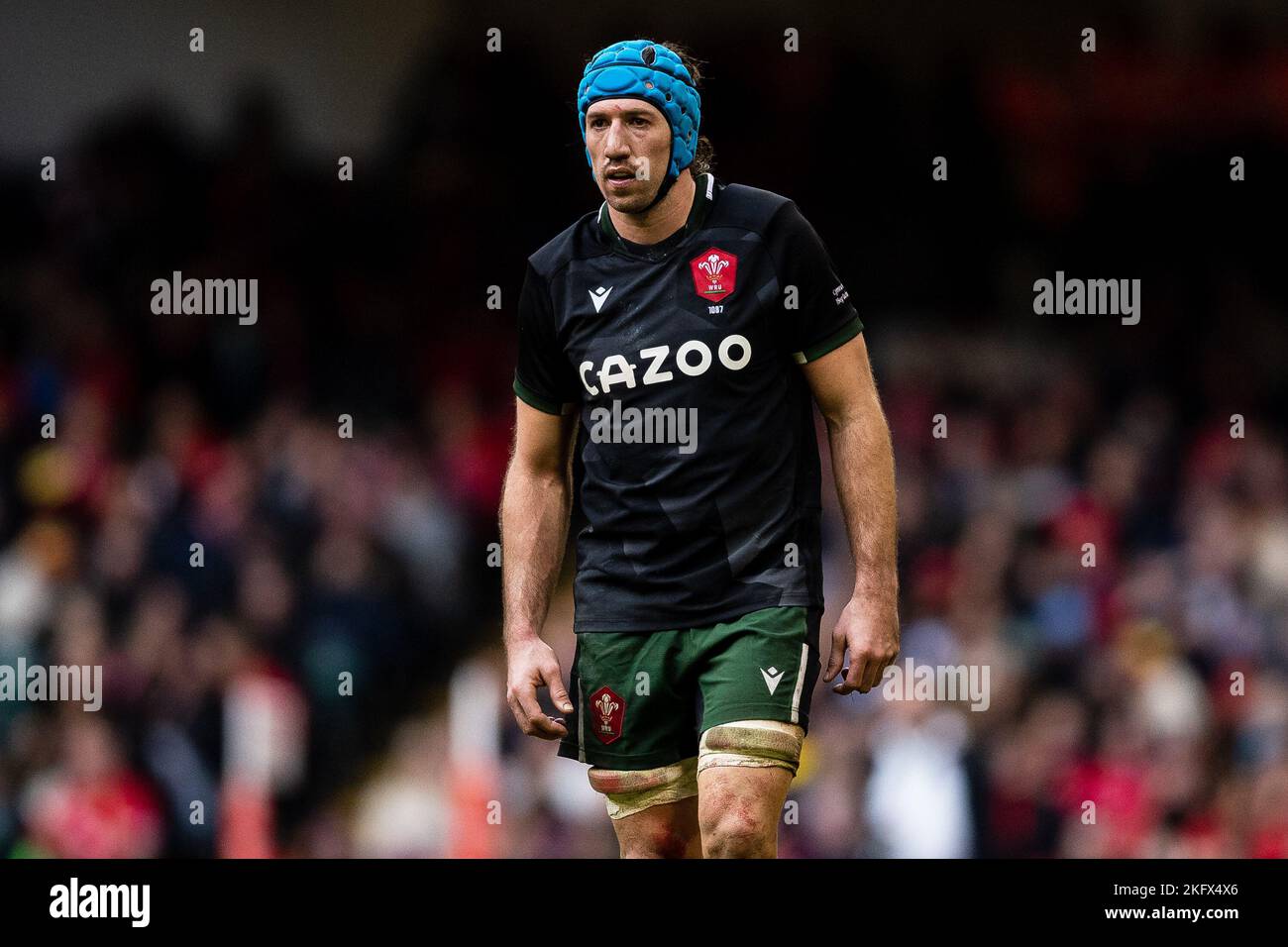 Justin Tipuric of Wales during the 2022 Autumn Nations Series, rugby ...