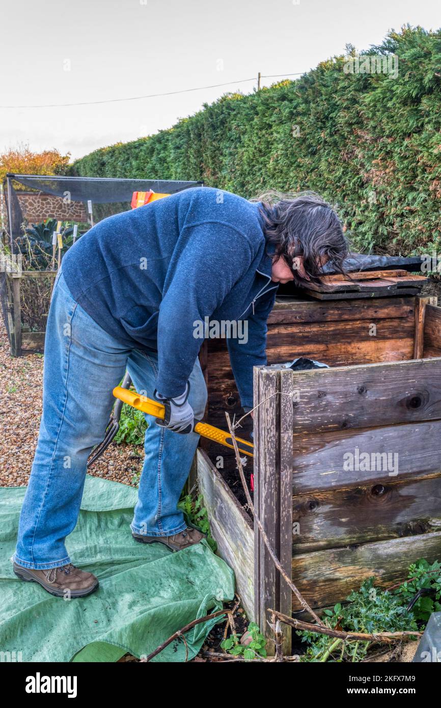 Woman working in the garden in autumn - turning & bagging compost to make space to add material to the compost bins. Stock Photo