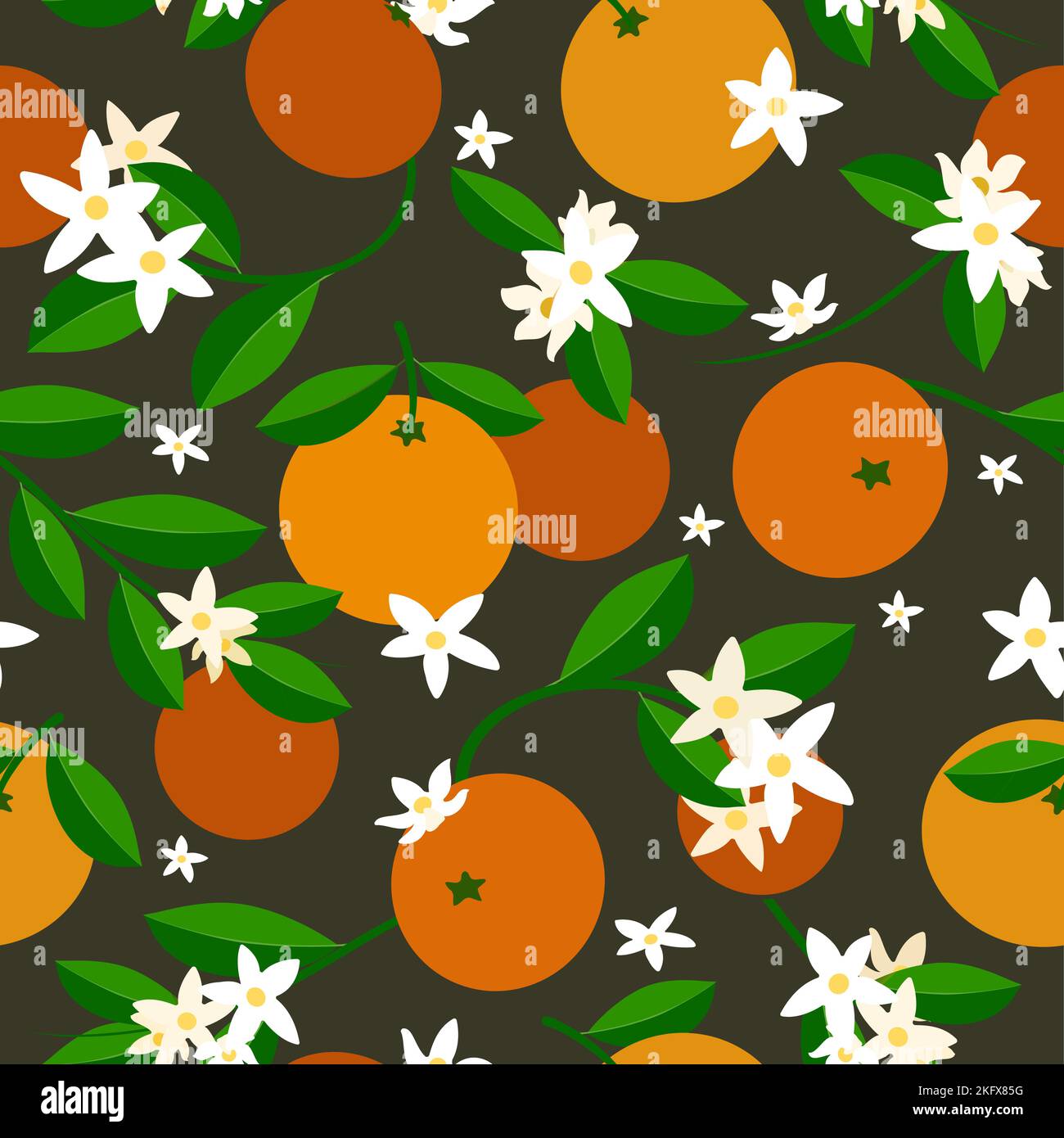 Orange fruits leaves flowers Stock Vector Images - Alamy