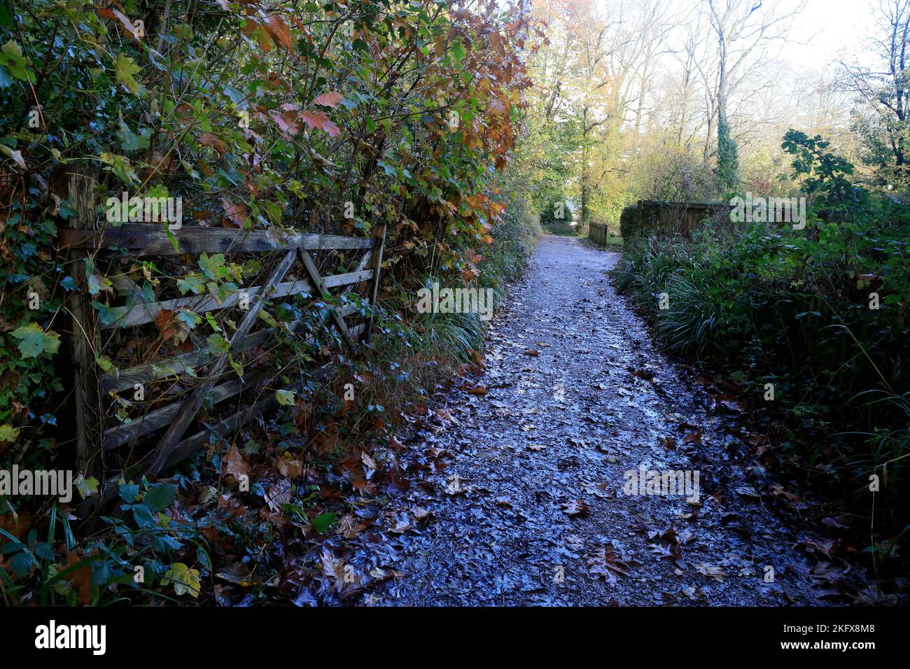 Autumn colours and muddy lane with five bar gate. St Fagans National