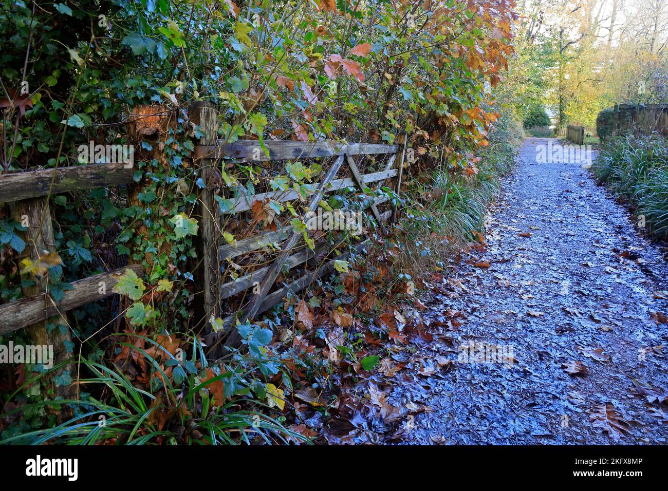 Autumn colours and muddy lane with five bar gate. St Fagans National