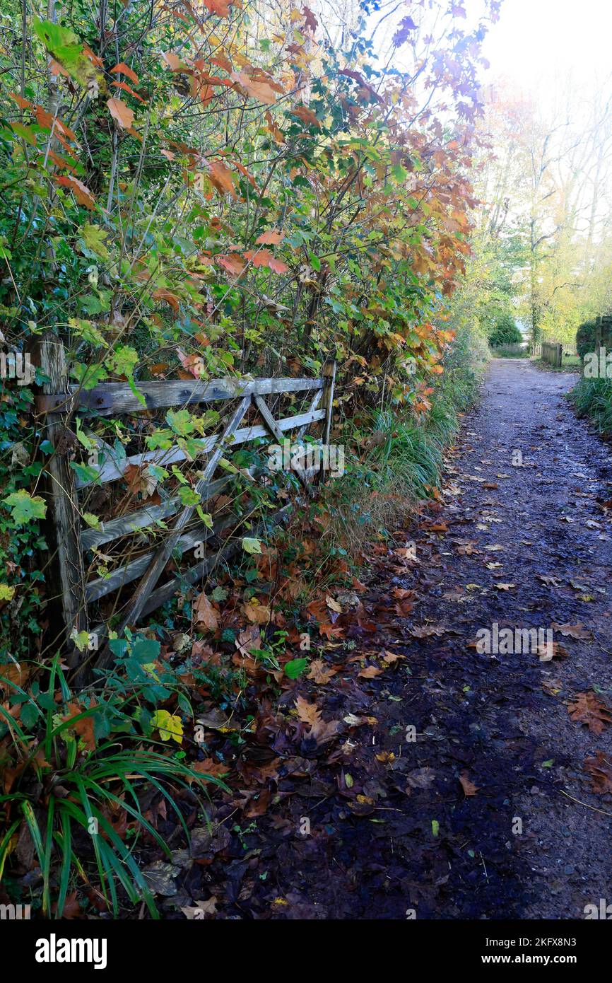 Autumn colours and muddy lane with five bar gate. St Fagans National