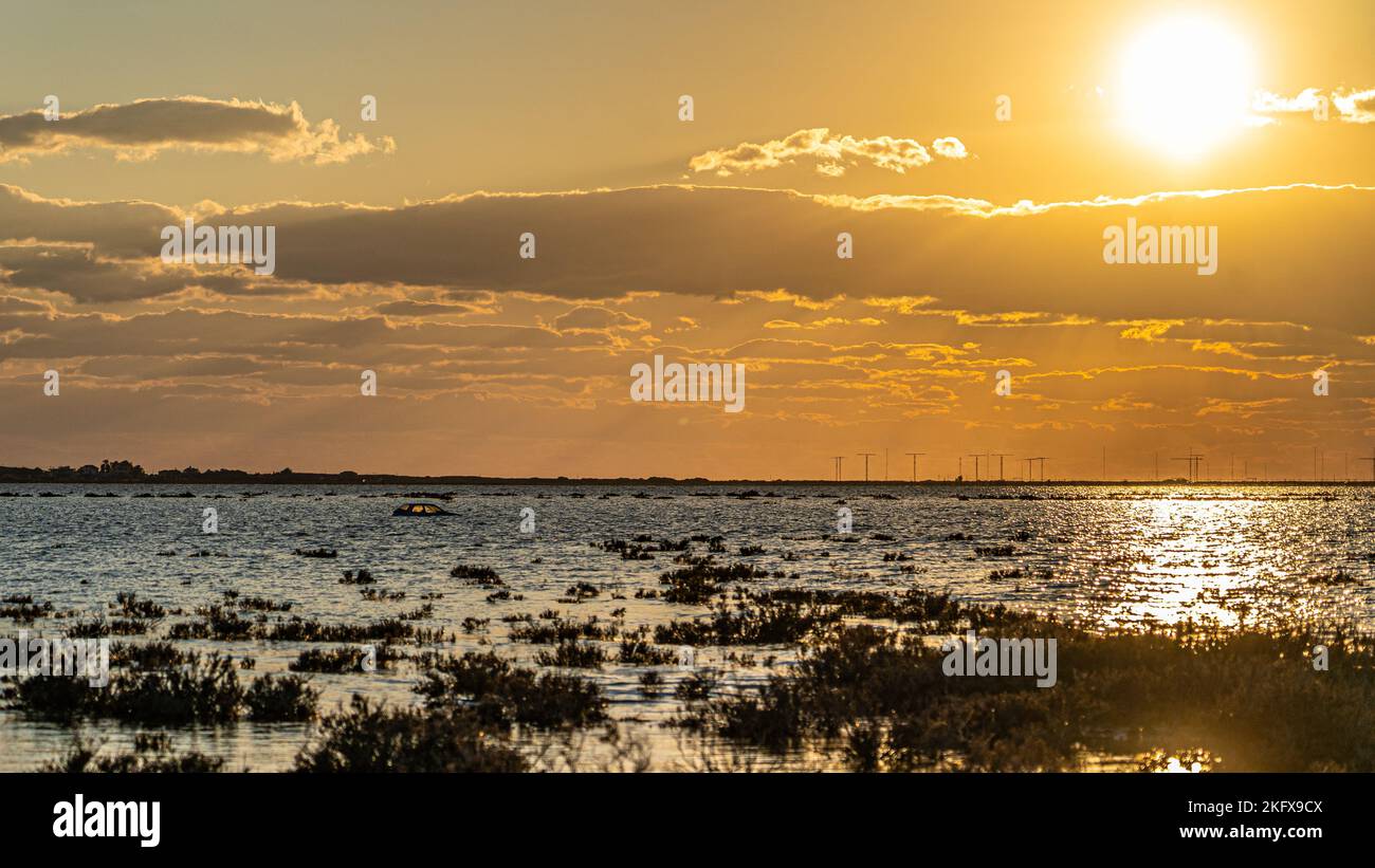 A beautiful view of flooding lake and a forest on the other side of the shore Stock Photo