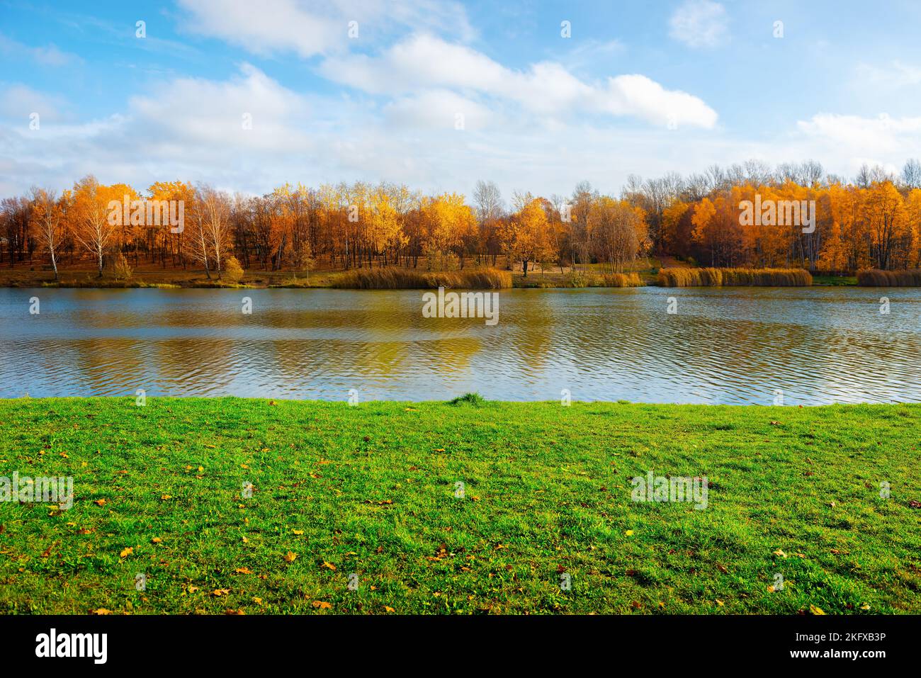 Lake in a park in Katowice in autumn Stock Photo