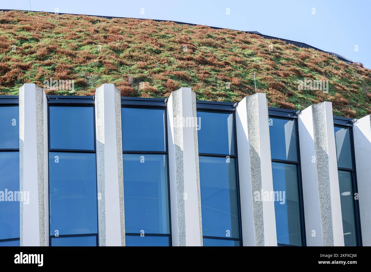 Green roof over a building in Brussels | Toit vegetalise ou toit vert est une toiture recouverte de vegetation comme alternative aux materiaux classiq Stock Photo