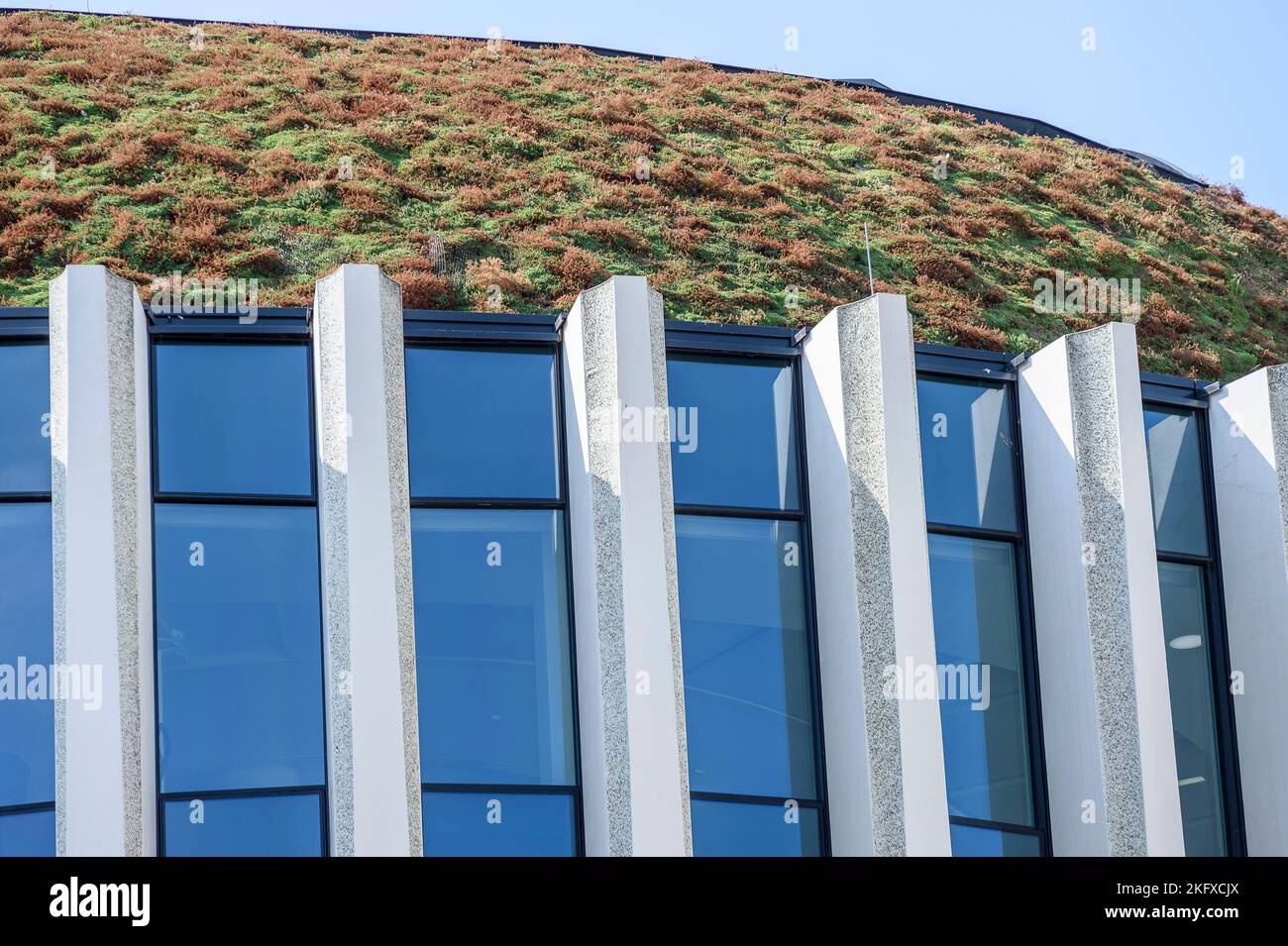 Green roof over a building in Brussels | Toit vegetalise ou toit vert est une toiture recouverte de vegetation comme alternative aux materiaux classiq Stock Photo