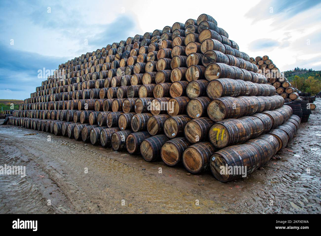Scotland, Speyside Cooperage in Craigellachie where thousands of scotch whisky casks are refurbished and repaired for use by the distilleries. Stock Photo