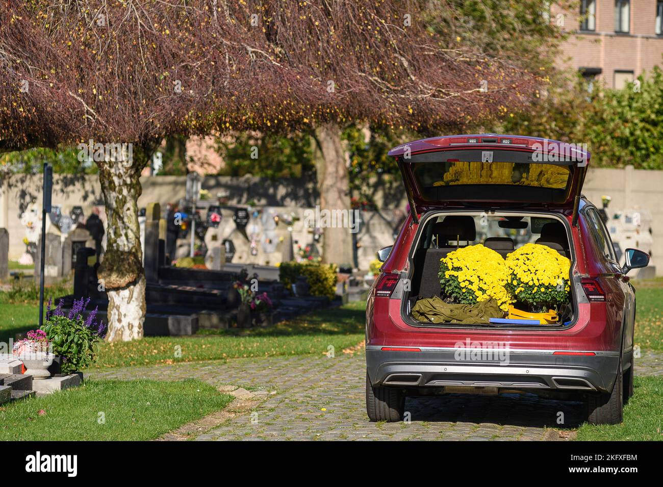 Toussaint - Cimetiere et croix Chrysantheme dans un coffre de voiture |  All Saints day - Cross and cemetary and Chrysanthemum in a car trunk Stock Photo