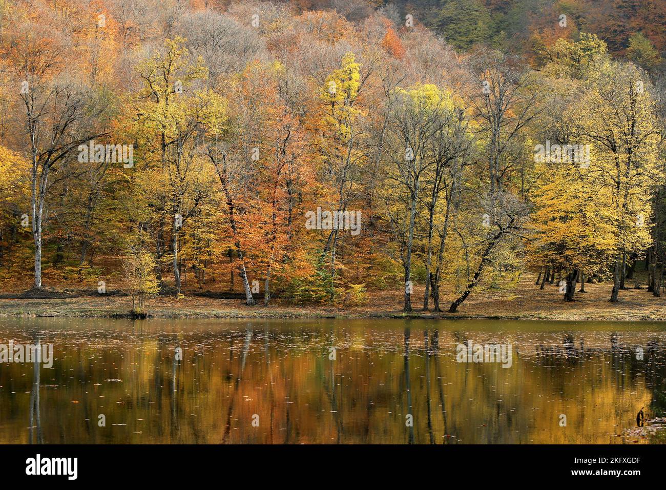 A breathtaking view of the tranquil Gosh lake surrounded by colorful autumn trees in Armenia Stock Photo