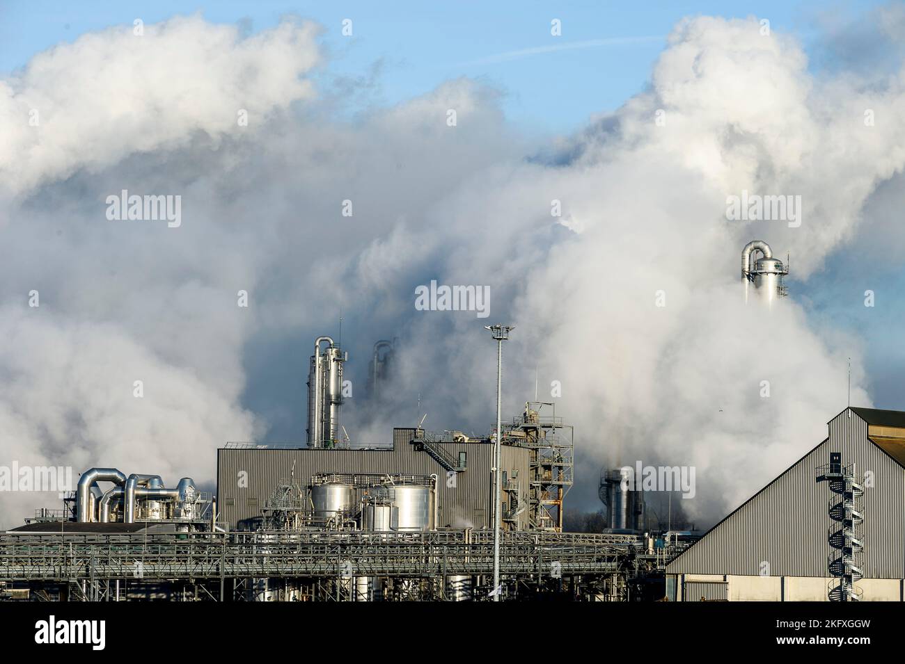 The cristal Union company site allows the transformation of the sugar