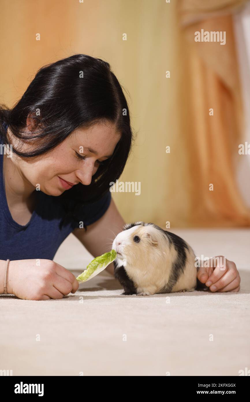 Best guinea pig fursona Factory Sale, image size:866x1390