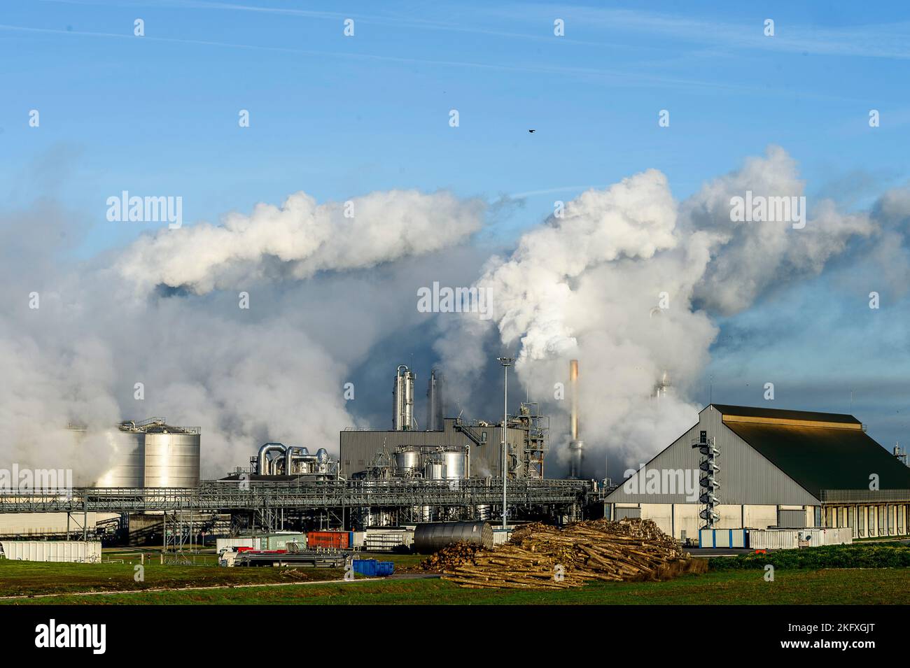 The cristal Union company site allows the transformation of the sugar