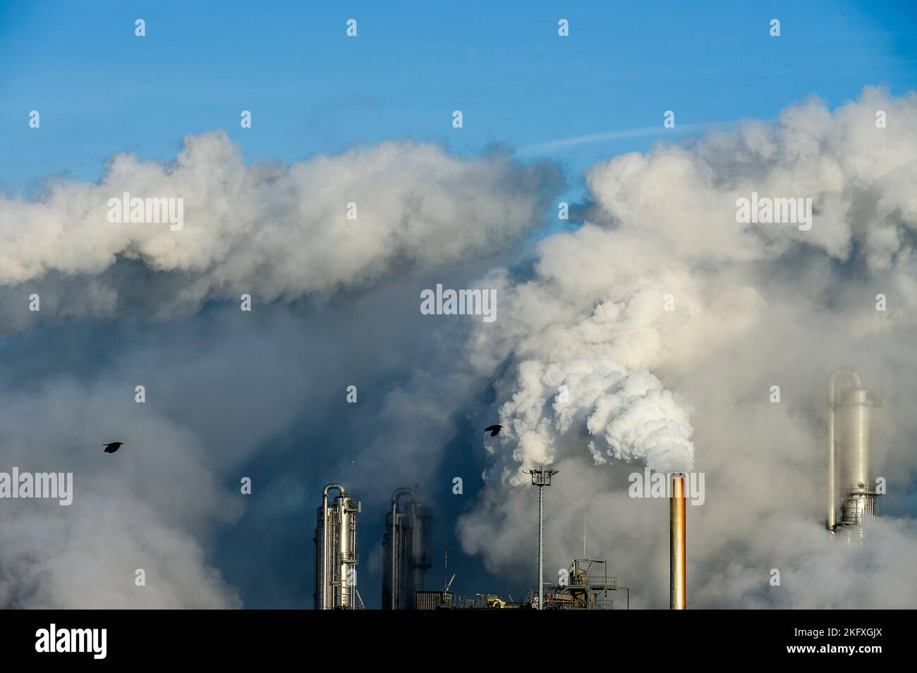 The cristal Union company site allows the transformation of the sugar